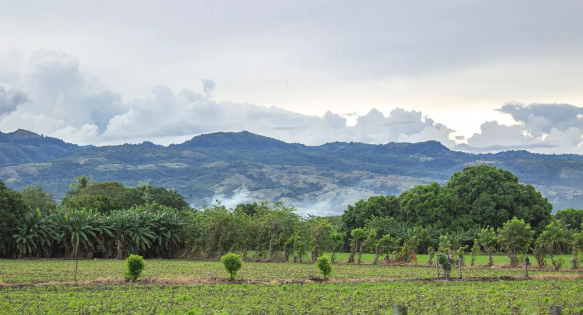 Cultivated fields and mountains in Colombia — illustrative landscape