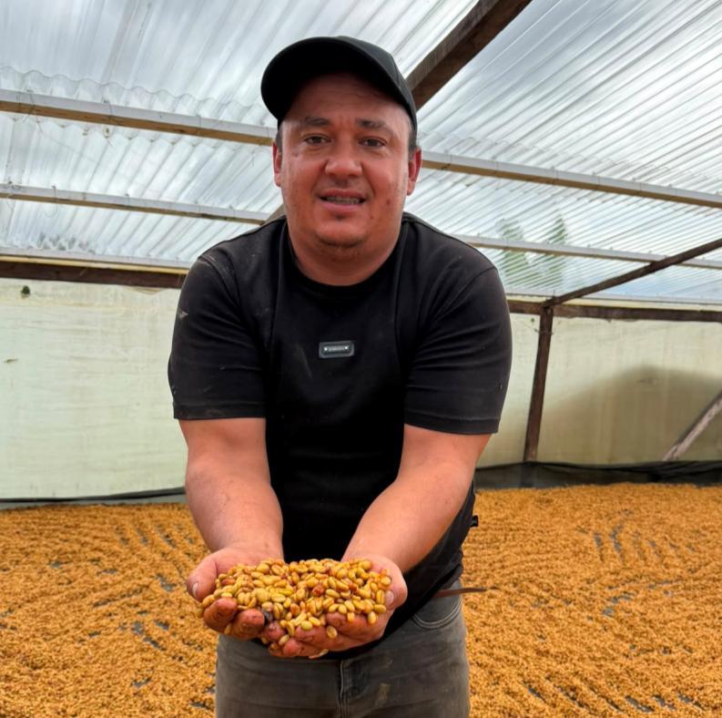 Alexander Hernández, producer of La Esmeralda, holding a handful of drying Gesha coffee at his farm in Monte Bonito, Pitalito, Huila, Colombia